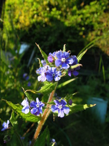 What am I?