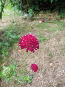 What am I?