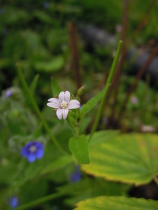What am I?