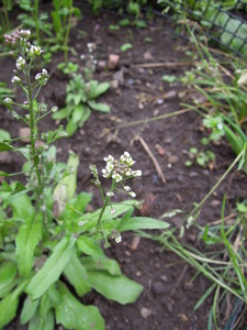 What am I?